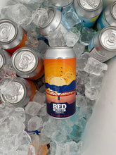 Load image into Gallery viewer, Mixed 24 pack